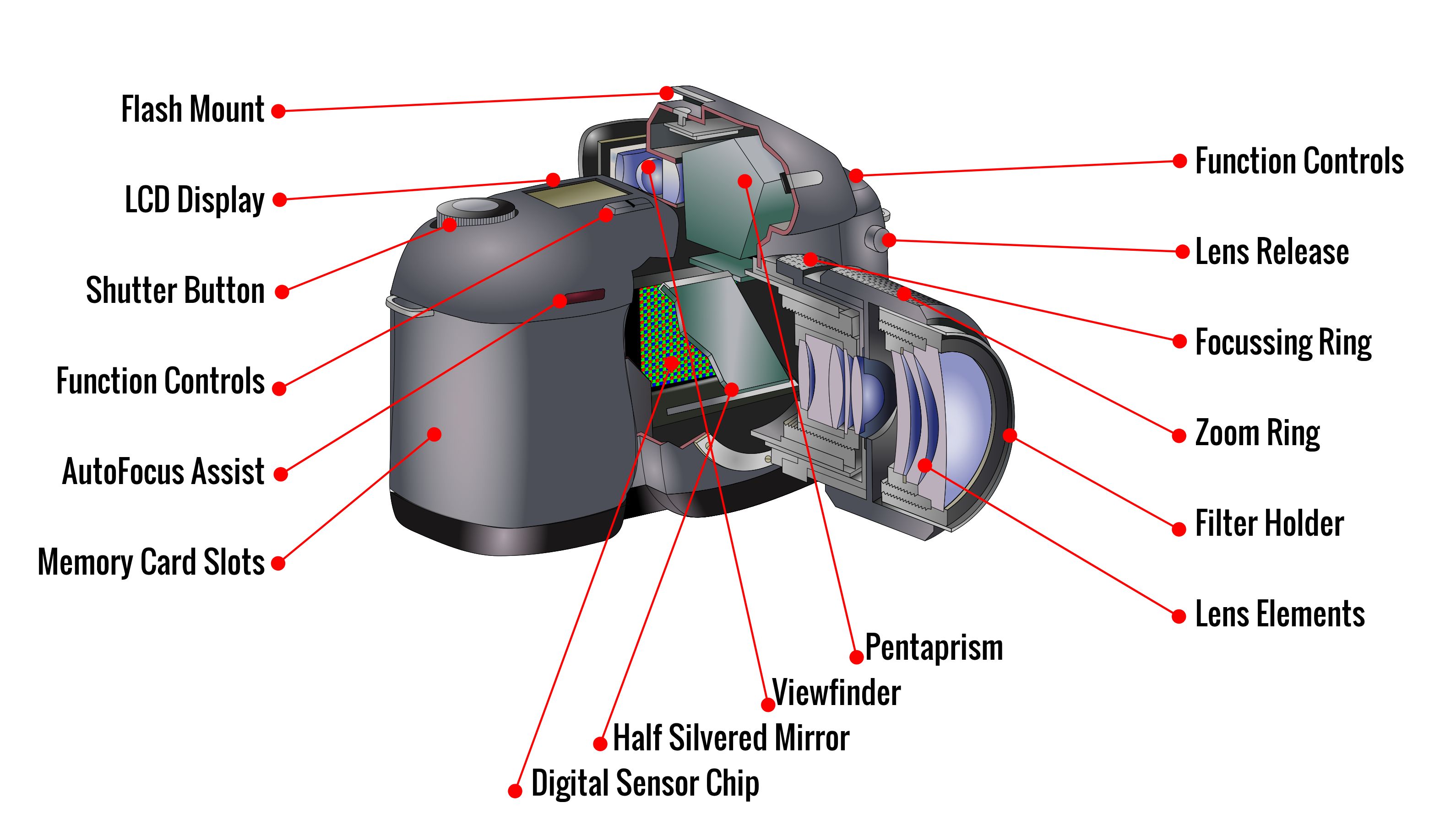 Camera How Dslr Camera Works ulearn photography part of filmphotoacademy com here is a generic camera body and lens the main bulk holds all electronics batteries memory card digital sensor computer chip everythin